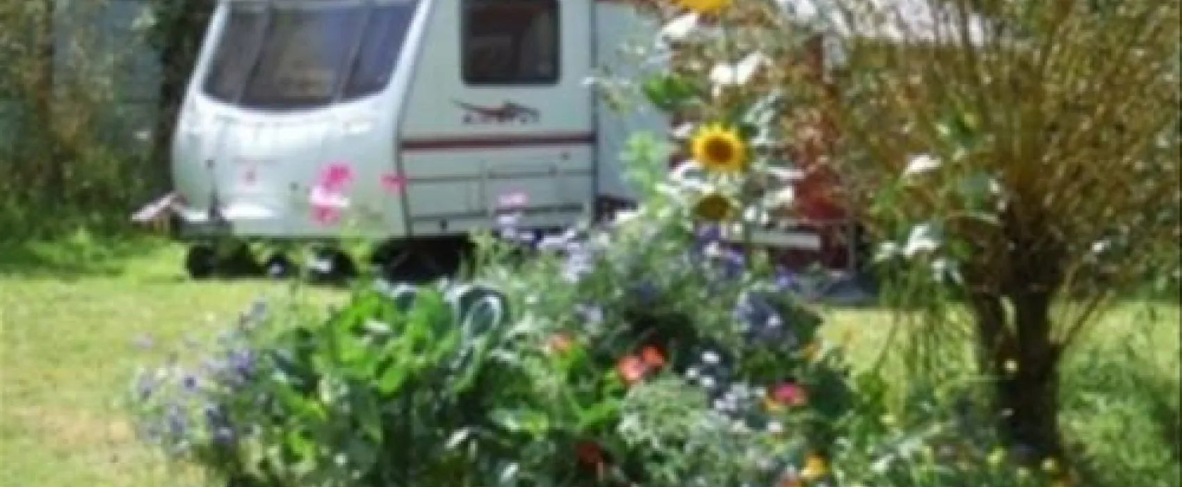 La Pointe Camping
