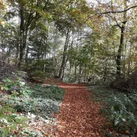 campingplatz-am-niemetal-niemetal-lwenhagen-swyfi