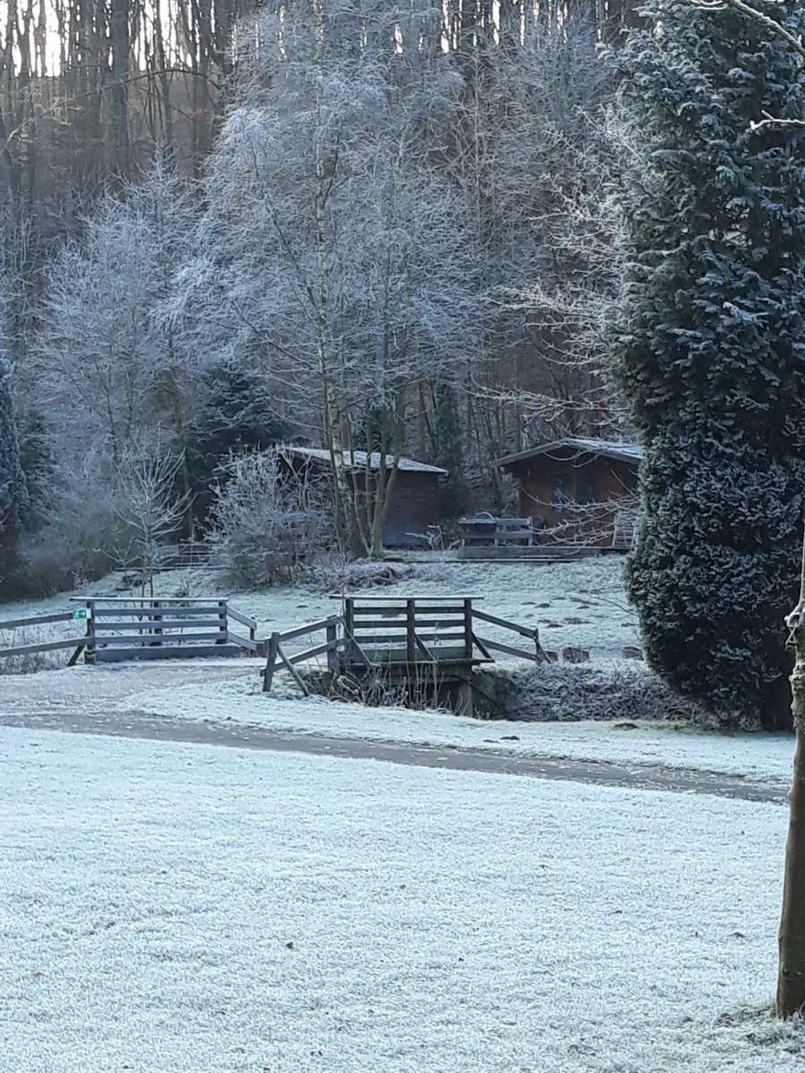 campingplatz-am-niemetal-niemetal-lwenhagen-zqcap