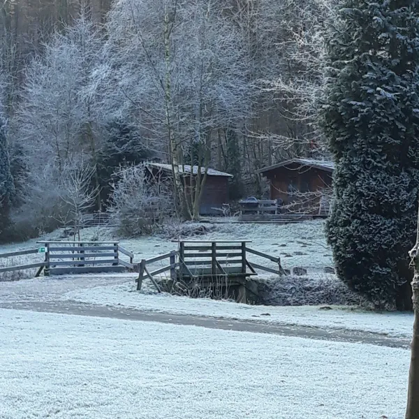 campingplatz-am-niemetal-niemetal-lwenhagen-zqcap