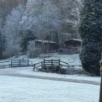 campingplatz-am-niemetal-niemetal-lwenhagen-zqcap