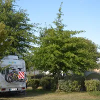camping-municipal-pipiou-parentis-en-born-u8wod