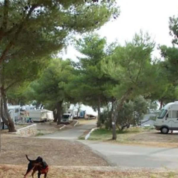 camping-jezera-lovisca-jezera-nzzhr
