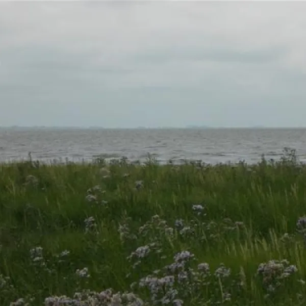 camping-seeblick-husum-ot-schobll-ezwyi