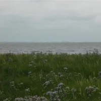 camping-seeblick-husum-ot-schobll-ezwyi