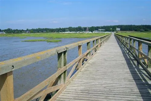 camping-seeblick-husum-ot-schobll-farbm