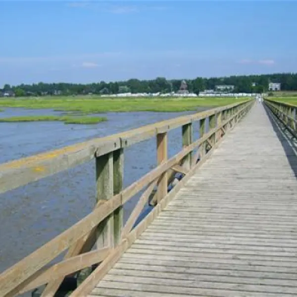 camping-seeblick-husum-ot-schobll-farbm