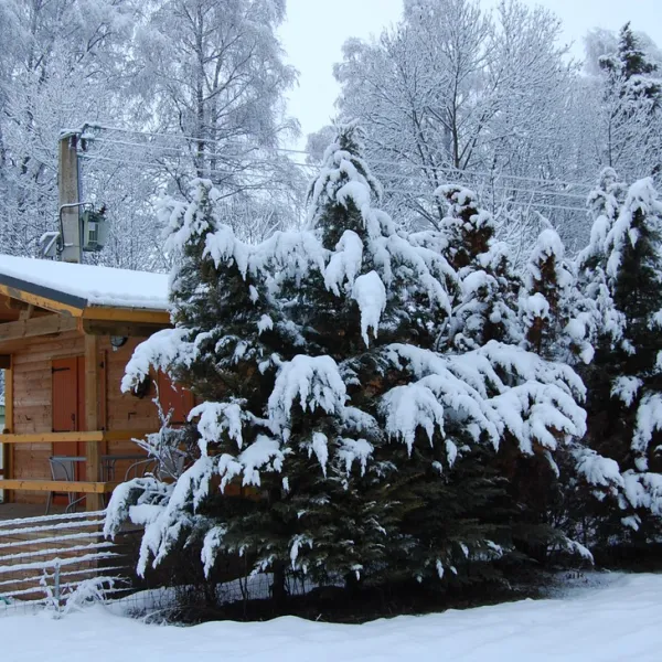 de-la-blanche-seyne-les-alpes-wzpqi
