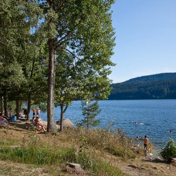 camping-schluchsee-schluchsee-tgzpe