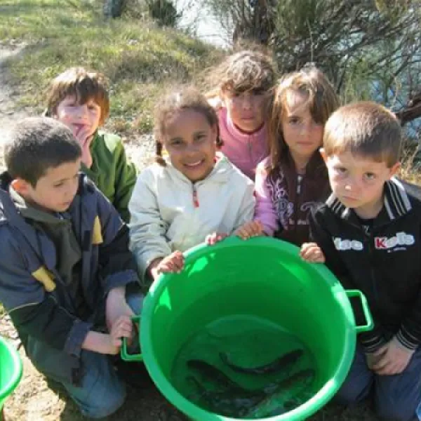 flower-camping-les-etangs-aubigny-sur-nere-c81qa