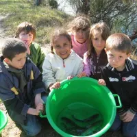 flower-camping-les-etangs-aubigny-sur-nere-c81qa