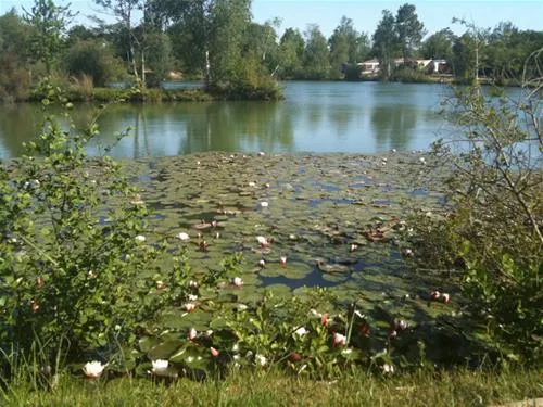 flower-camping-les-etangs-aubigny-sur-nere-kwfbd