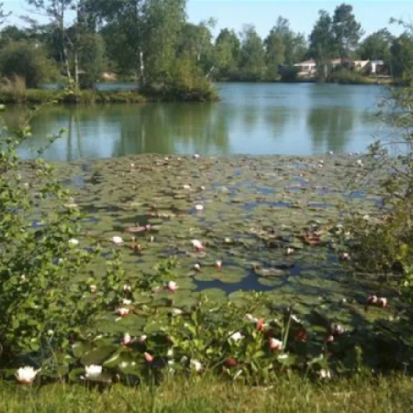 flower-camping-les-etangs-aubigny-sur-nere-kwfbd