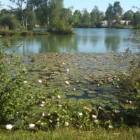 flower-camping-les-etangs-aubigny-sur-nere-kwfbd