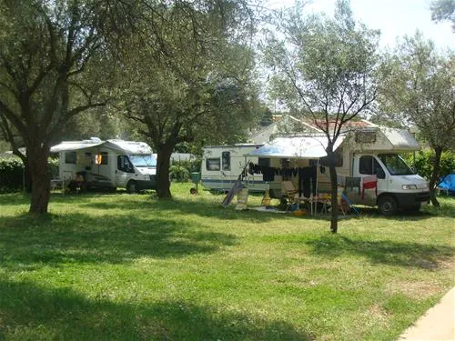 camping-oliva-bar-7su49