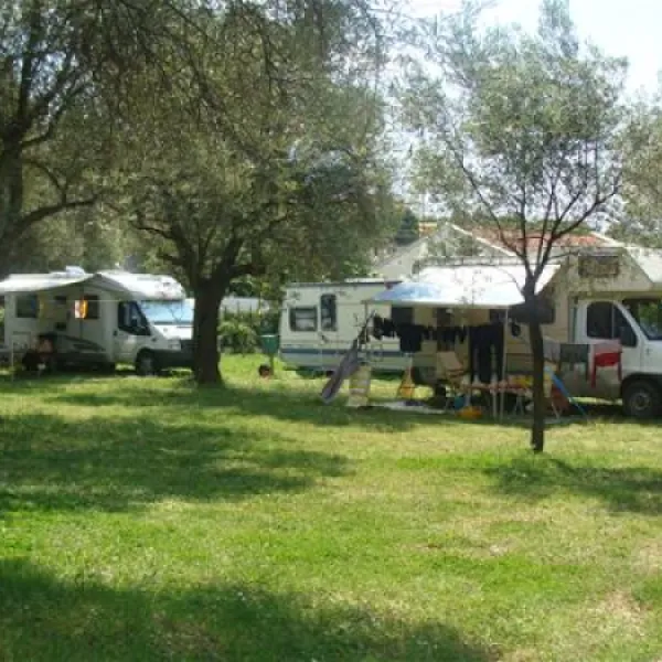 camping-oliva-bar-7su49