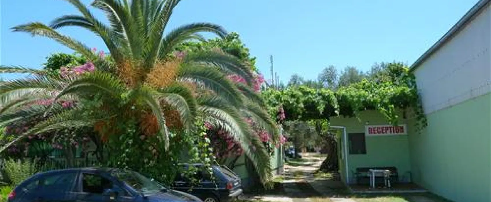 Camping Oliva
