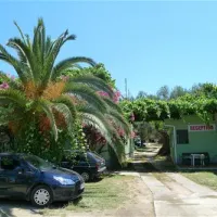 Camping Oliva