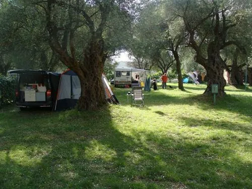 camping-oliva-bar-teml5