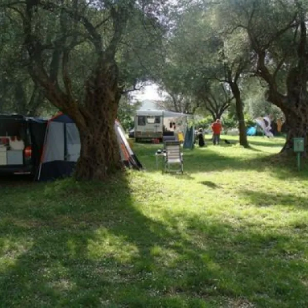 camping-oliva-bar-teml5