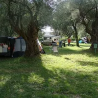 camping-oliva-bar-teml5