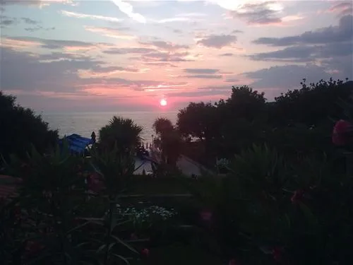 camping-oliva-bar-vsvyg