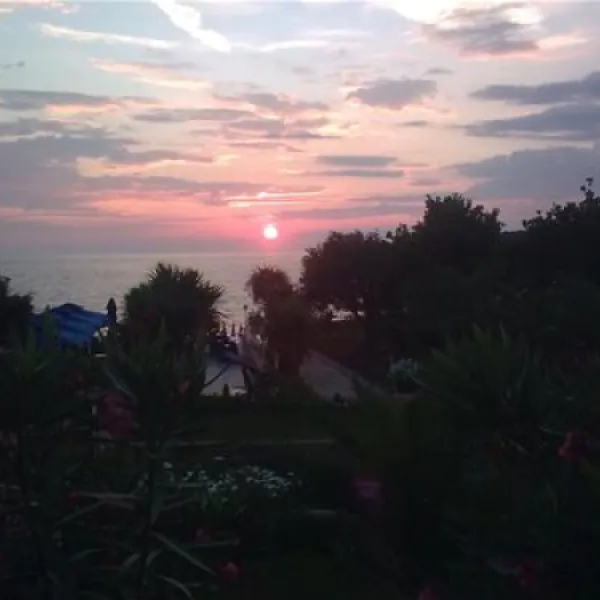 camping-oliva-bar-vsvyg