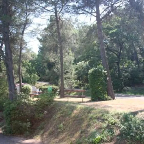 Camping Le Vieux Verger