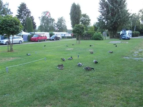 camping-schiefer-turm-kitzingenhohenfeld-iks45