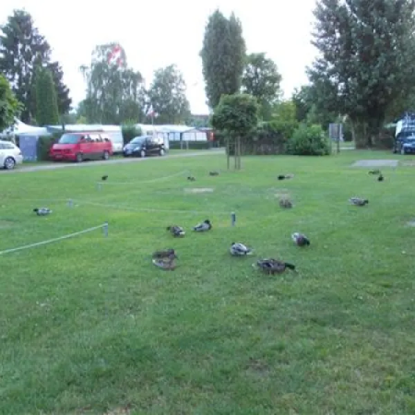 camping-schiefer-turm-kitzingenhohenfeld-iks45