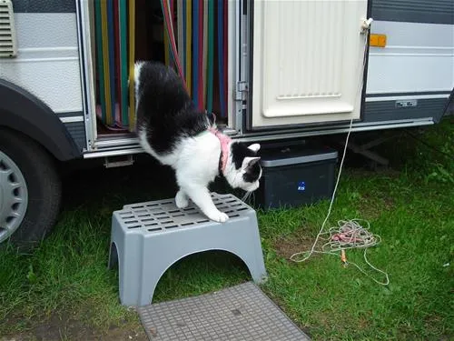 camping-kama-talty-s9ndr