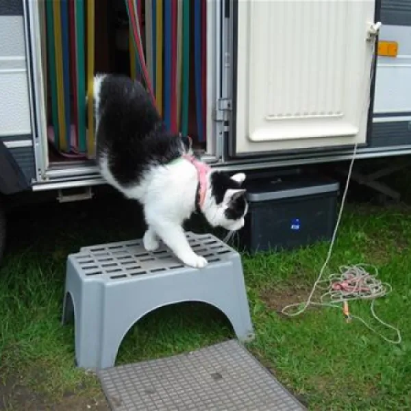 camping-kama-talty-s9ndr