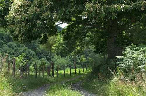 domaine-la-valade-vigeois-rgjkd