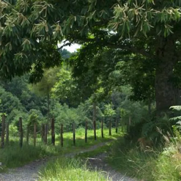 domaine-la-valade-vigeois-rgjkd