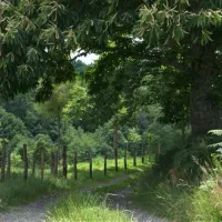 domaine-la-valade-vigeois-rgjkd