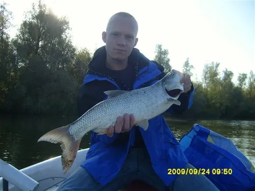 kurenpolder-recreatie-hank-ayfve