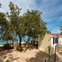 camping-glavotok-krk-ko447