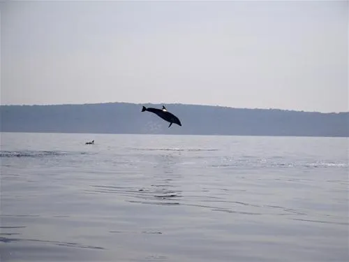 camping-glavotok-krk-xzwmj