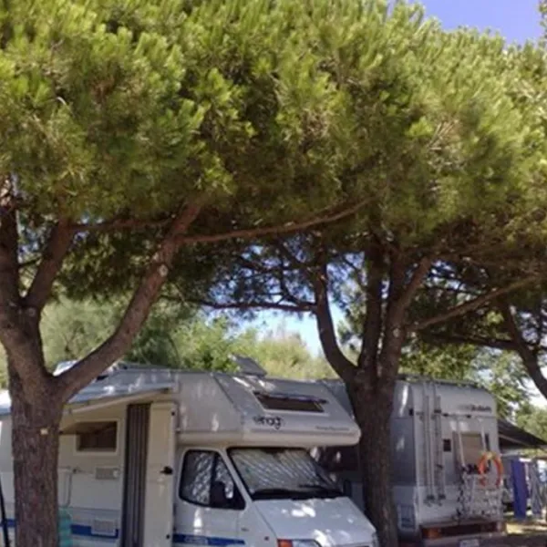 Camping Silva
