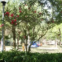 camping-silva-cavallinotreporti-jhkef