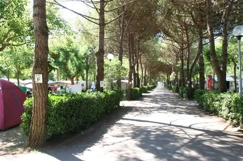 camping-silva-cavallinotreporti-lfup4