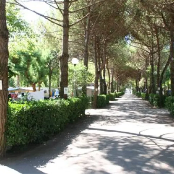 camping-silva-cavallinotreporti-lfup4