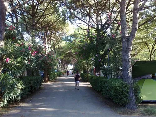 camping-silva-cavallinotreporti-zvnul