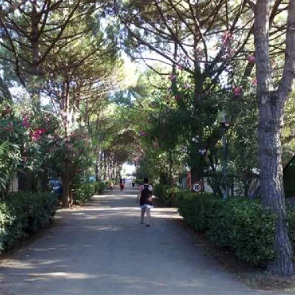 camping-silva-cavallinotreporti-zvnul