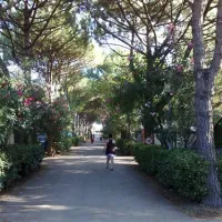 camping-silva-cavallinotreporti-zvnul
