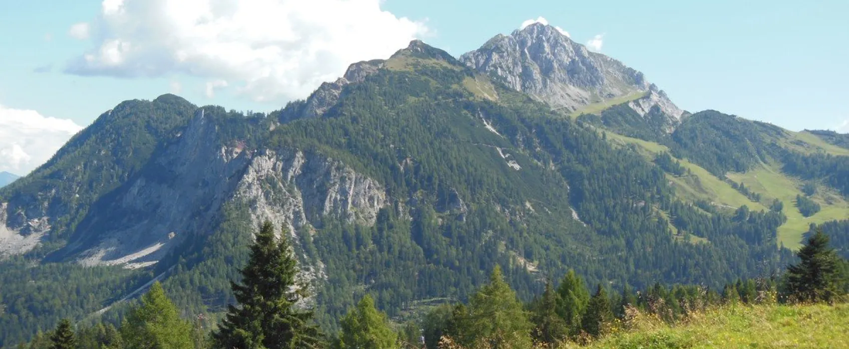 Alpencamp Kärnten