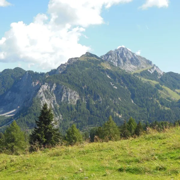alpencamp-krnten-ktschach-ol3m5