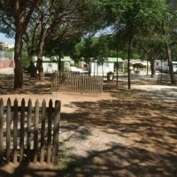 camping-cabopino-marbella-cdxiq