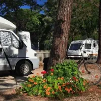 camping-cabopino-marbella-tb8uq