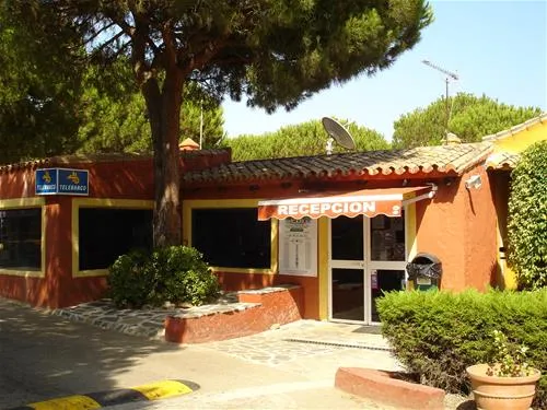 camping-cabopino-marbella-wpwag